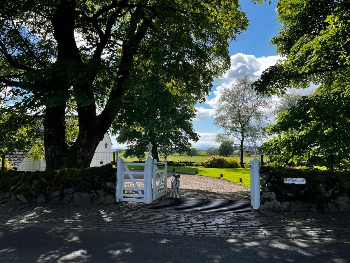 Bed and Breakfast Whitehouse Uplawmoor Exteriér fotografie